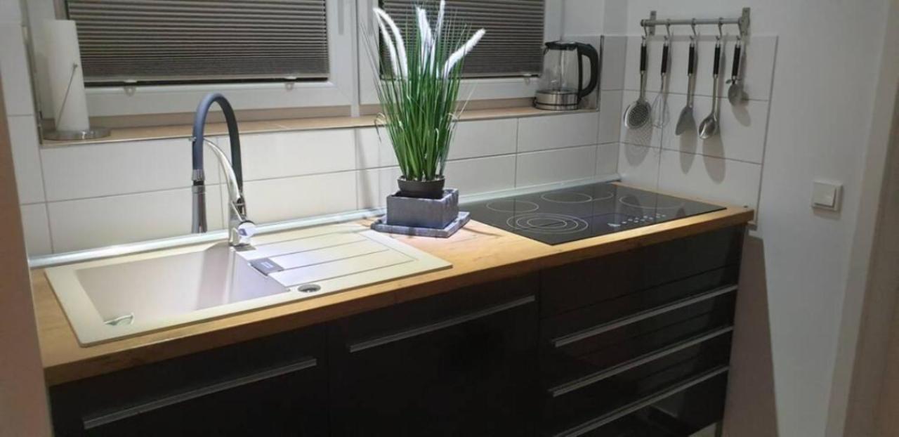 Schicke Ferienwohnung Mit Harzblick Fuer 1-2 Oder 1-4 Personen جوسلار المظهر الخارجي الصورة
